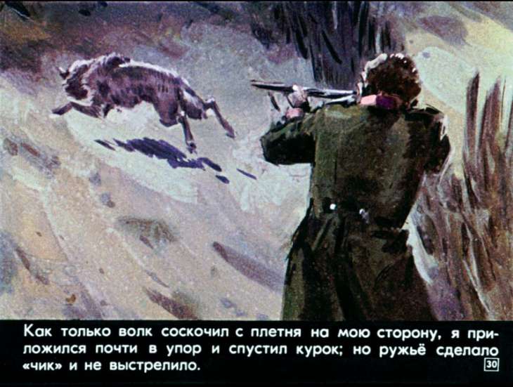 bulka-31