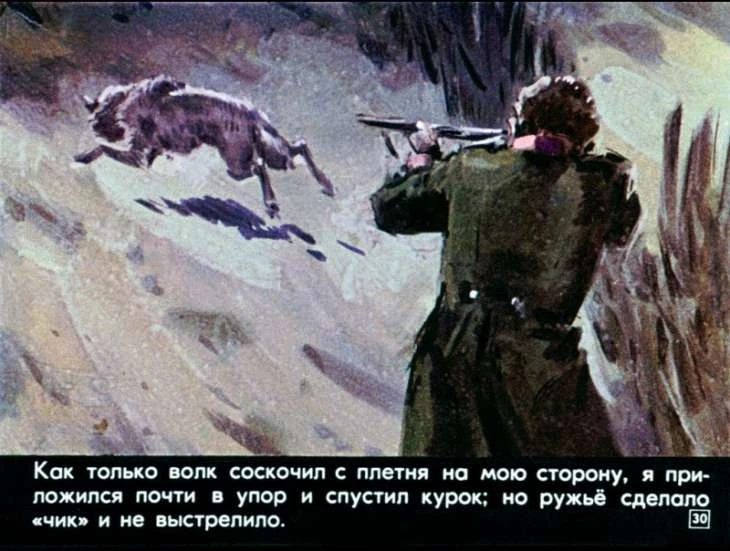 bulka-31