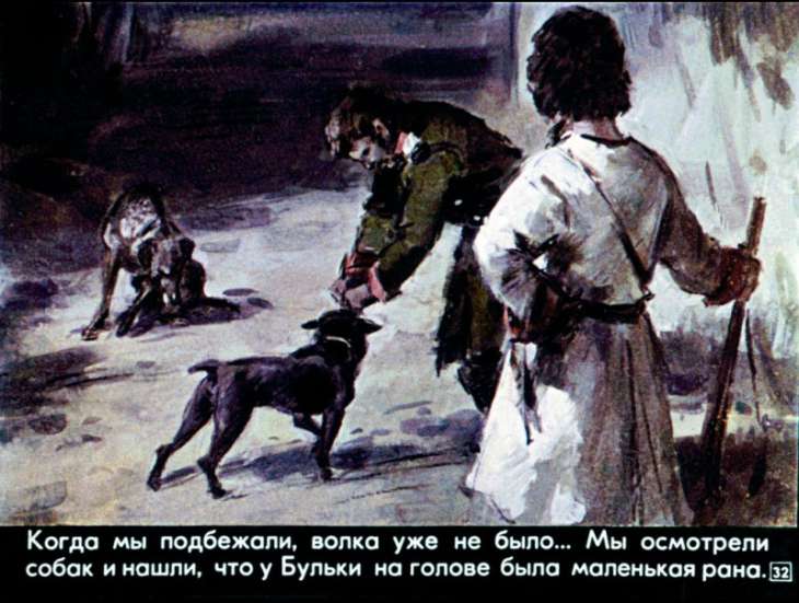 bulka-33