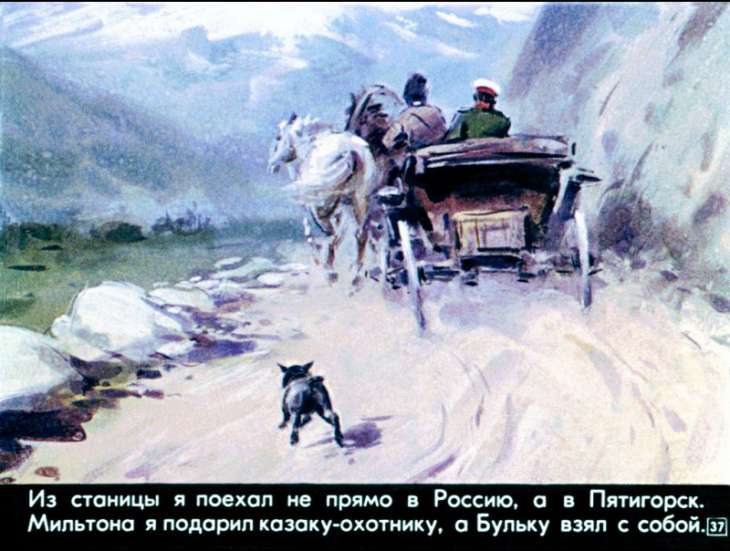 bulka-38