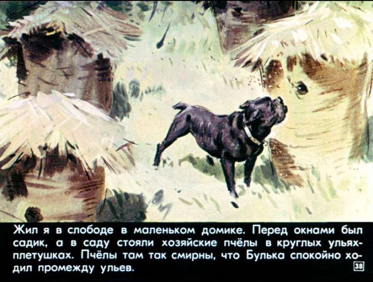 bulka-39