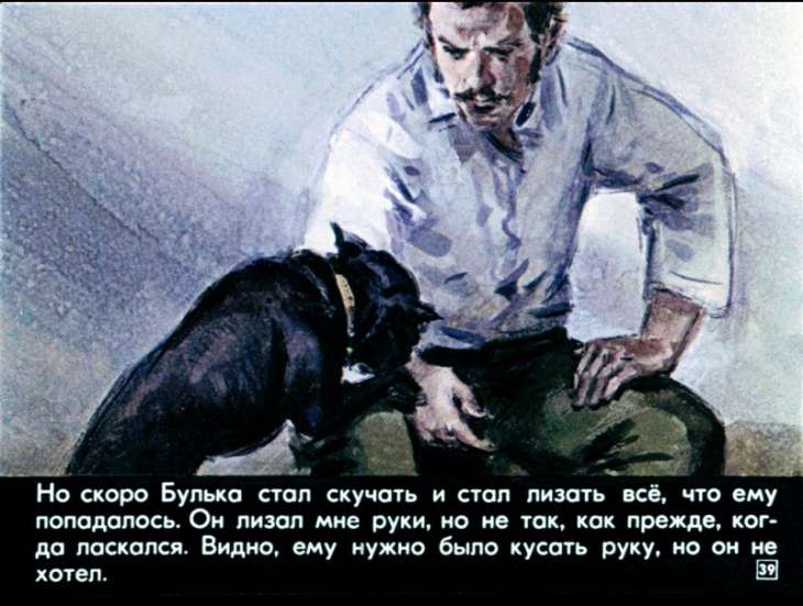 bulka-40