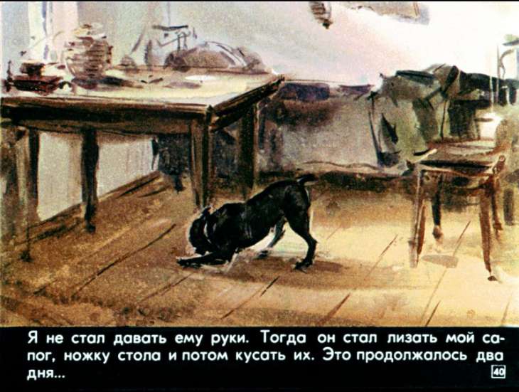 bulka-41