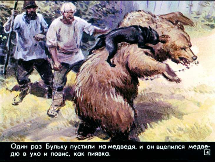 bulka-5