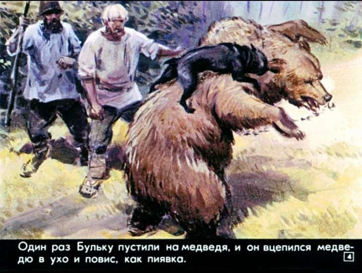 bulka-5