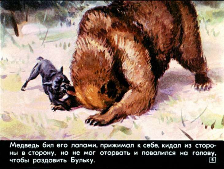 bulka-6