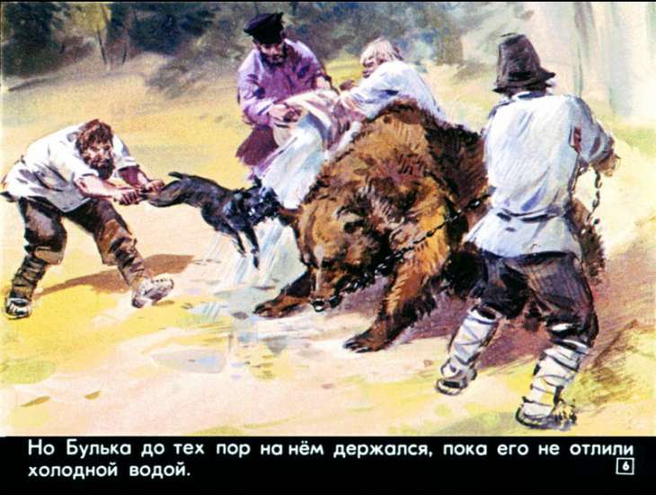 bulka-7