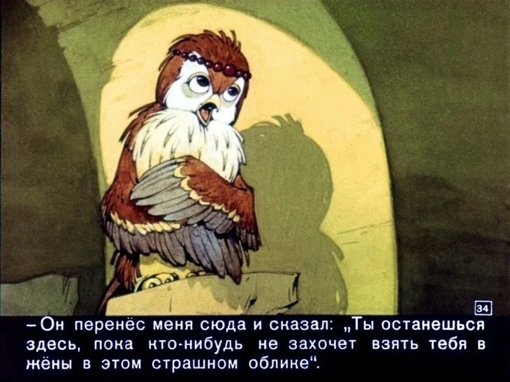 halif-aist-36