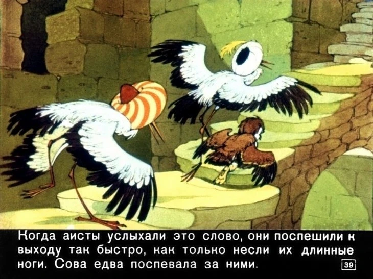 halif-aist-41