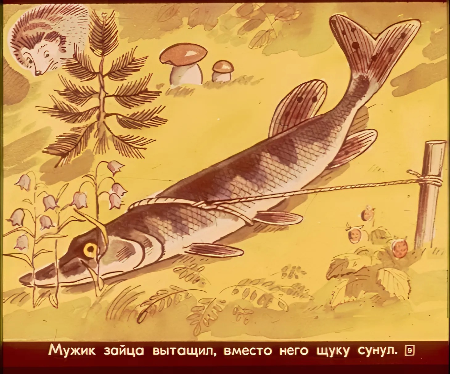 pro-klad-i-boltunyu-12