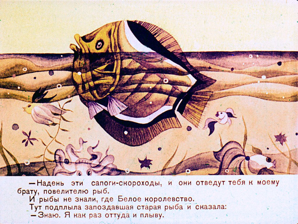 beloe-korolevstvo-32