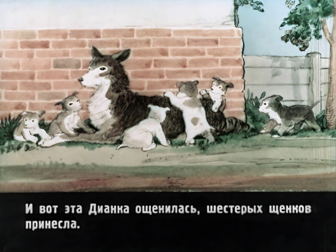 druzhok-3
