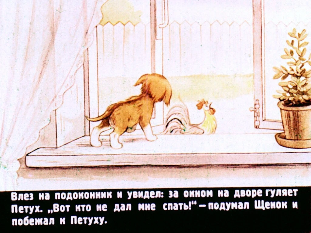 kto-skazal-myau-10