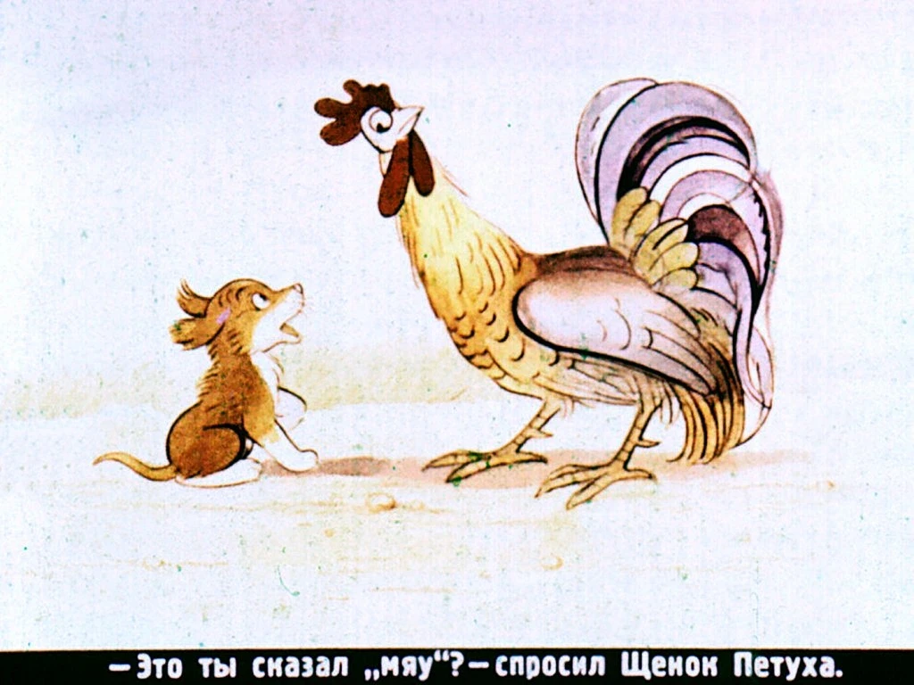 kto-skazal-myau-11