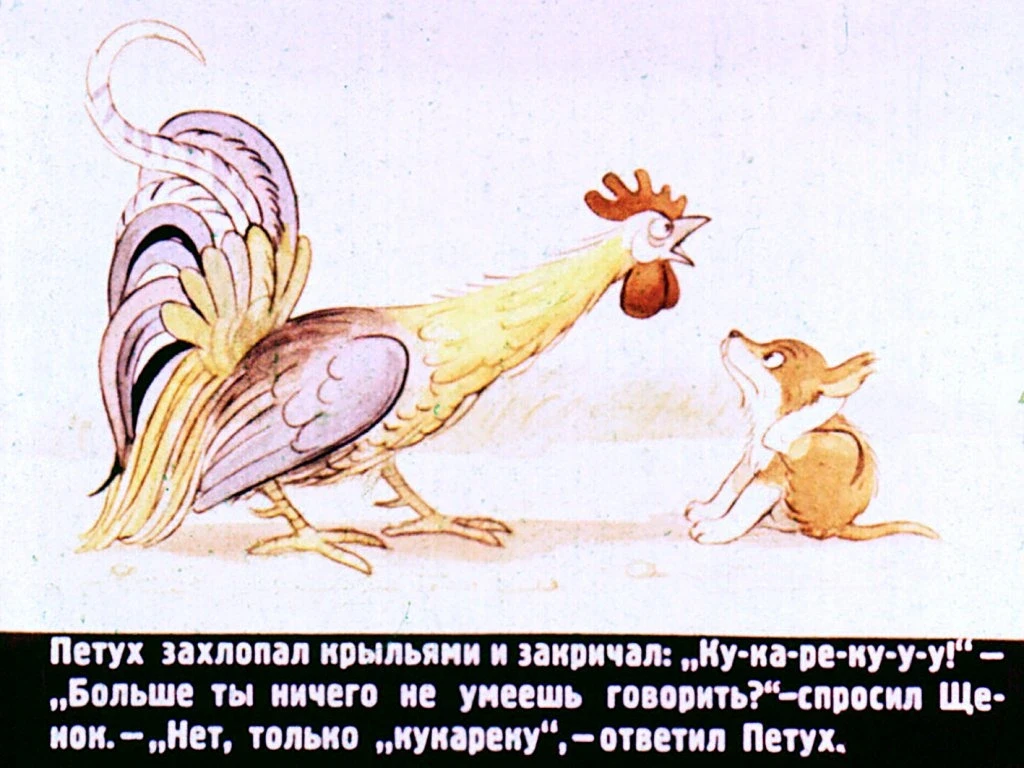 kto-skazal-myau-12