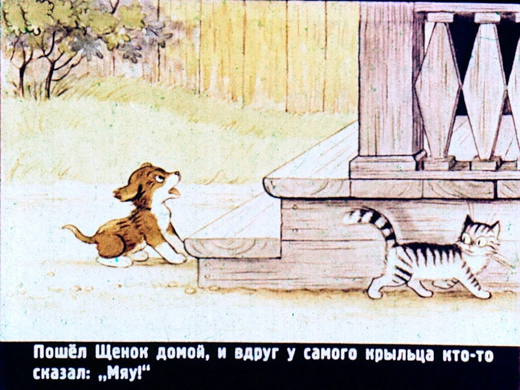 kto-skazal-myau-13