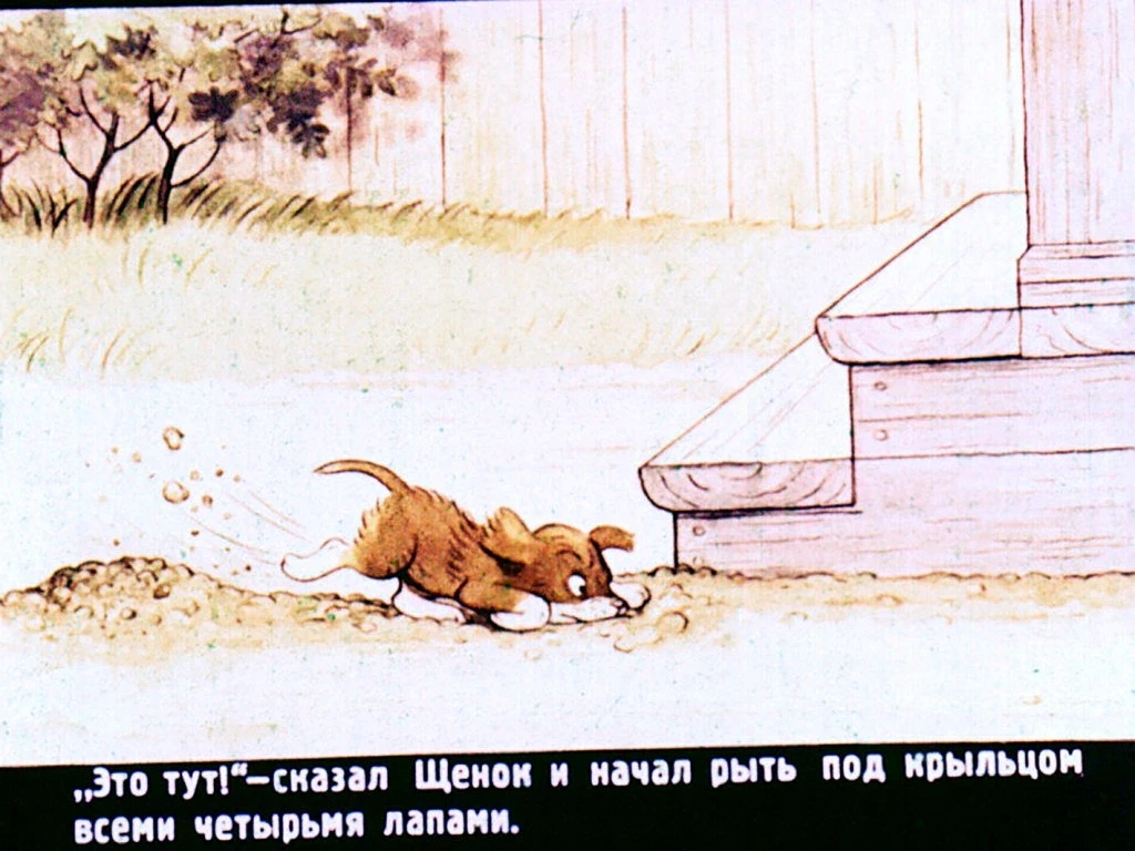 kto-skazal-myau-14