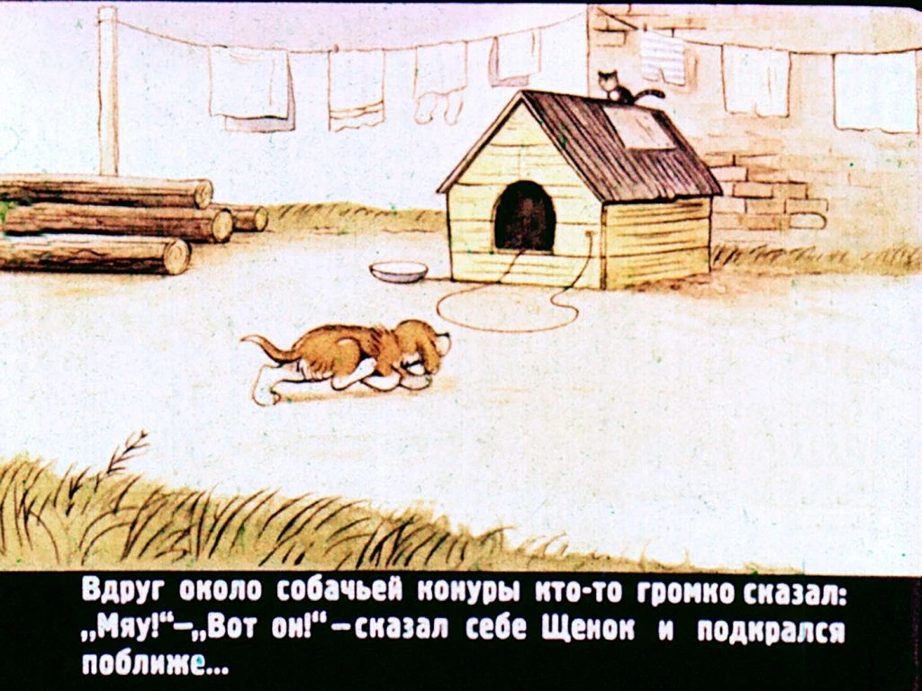 kto-skazal-myau-18