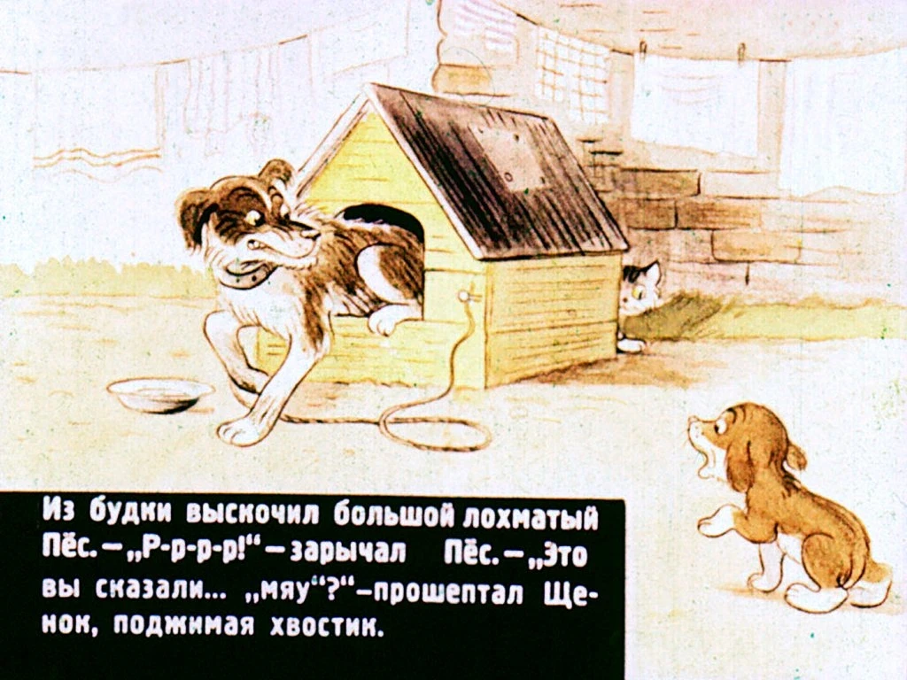 kto-skazal-myau-19