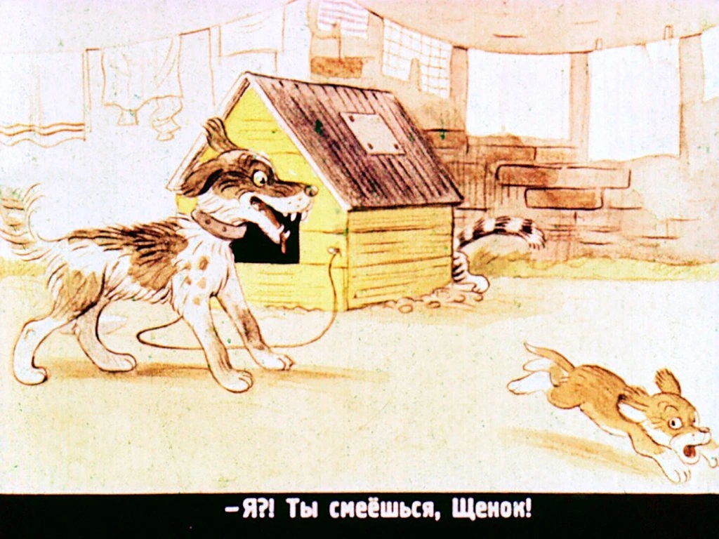 kto-skazal-myau-20