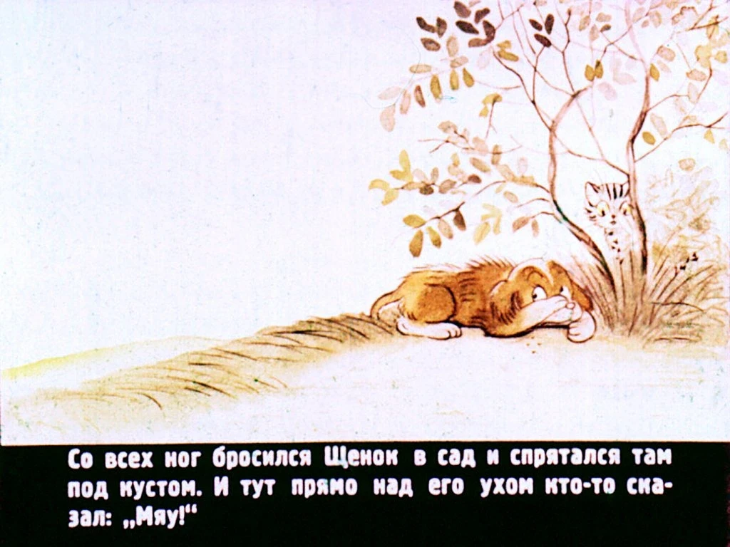 kto-skazal-myau-21