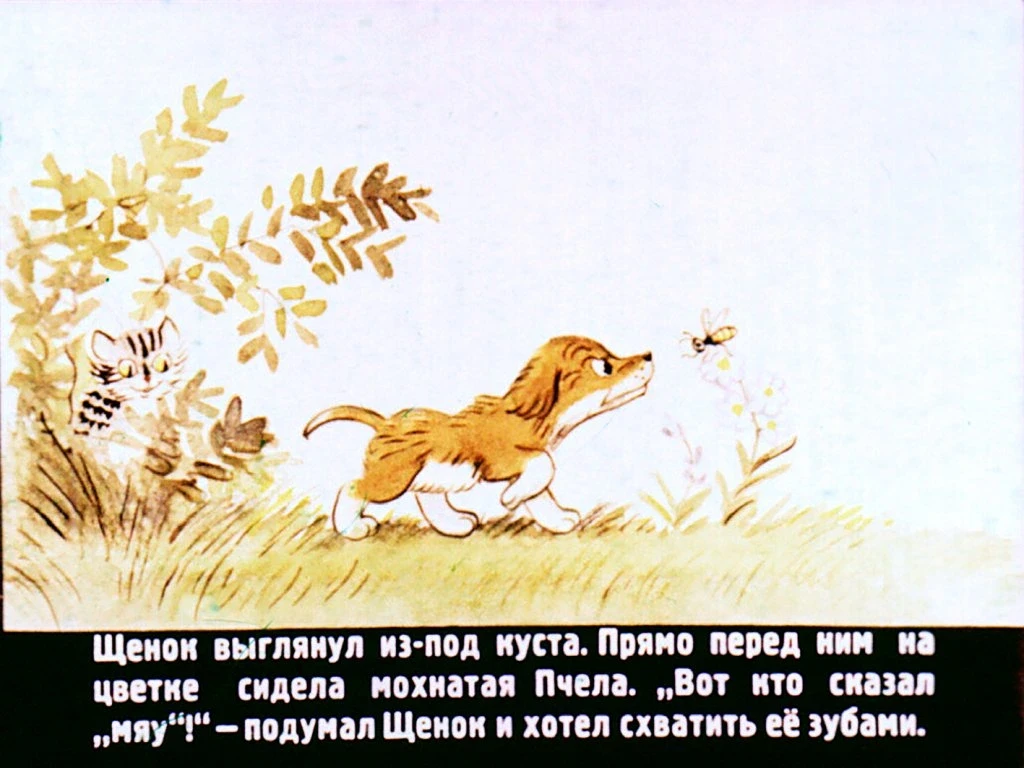 kto-skazal-myau-22
