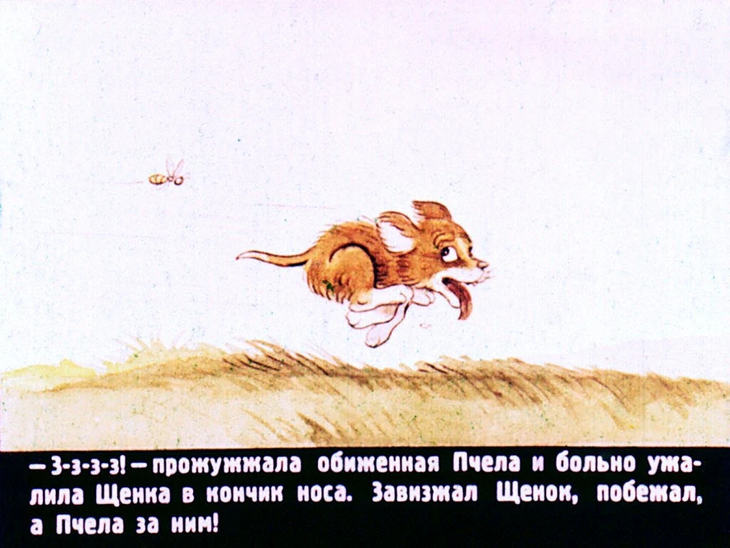 kto-skazal-myau-23