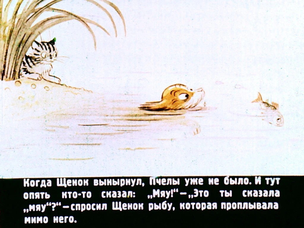 kto-skazal-myau-25