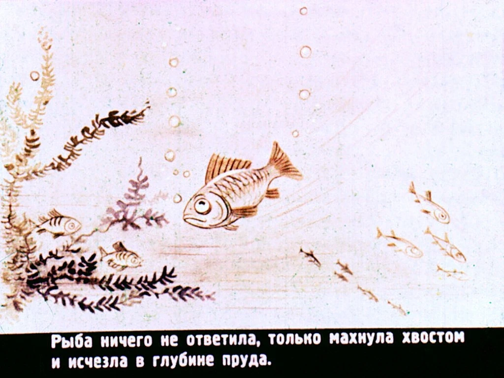 kto-skazal-myau-26