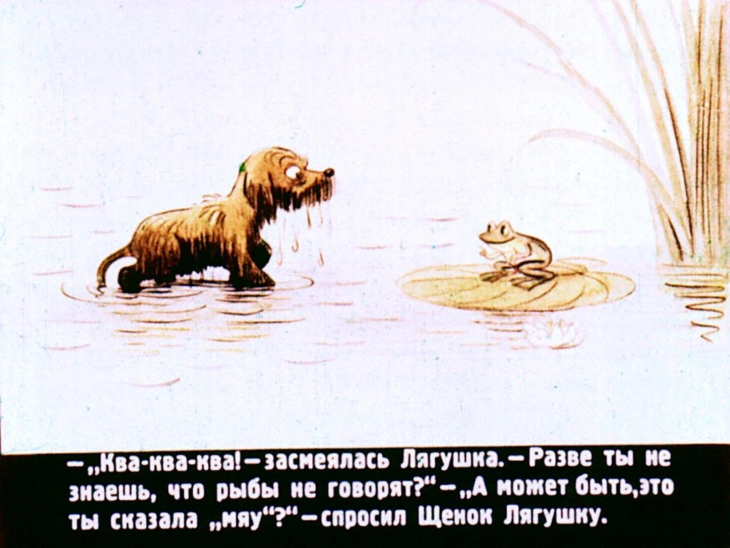 kto-skazal-myau-27