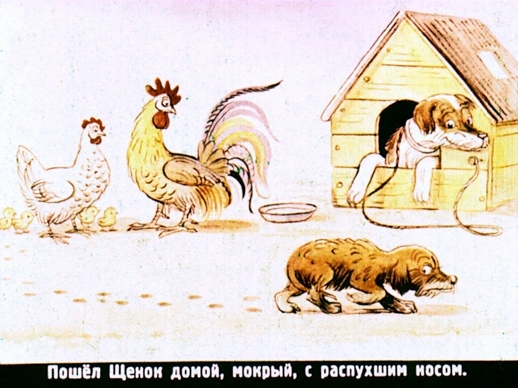 kto-skazal-myau-29