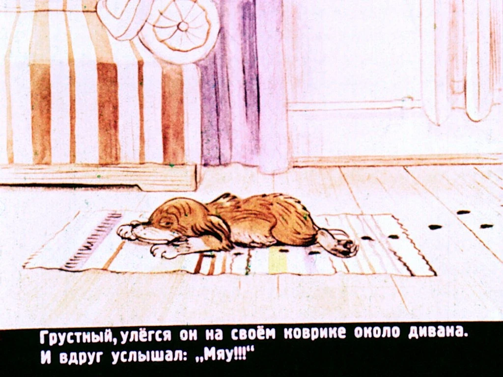 kto-skazal-myau-30