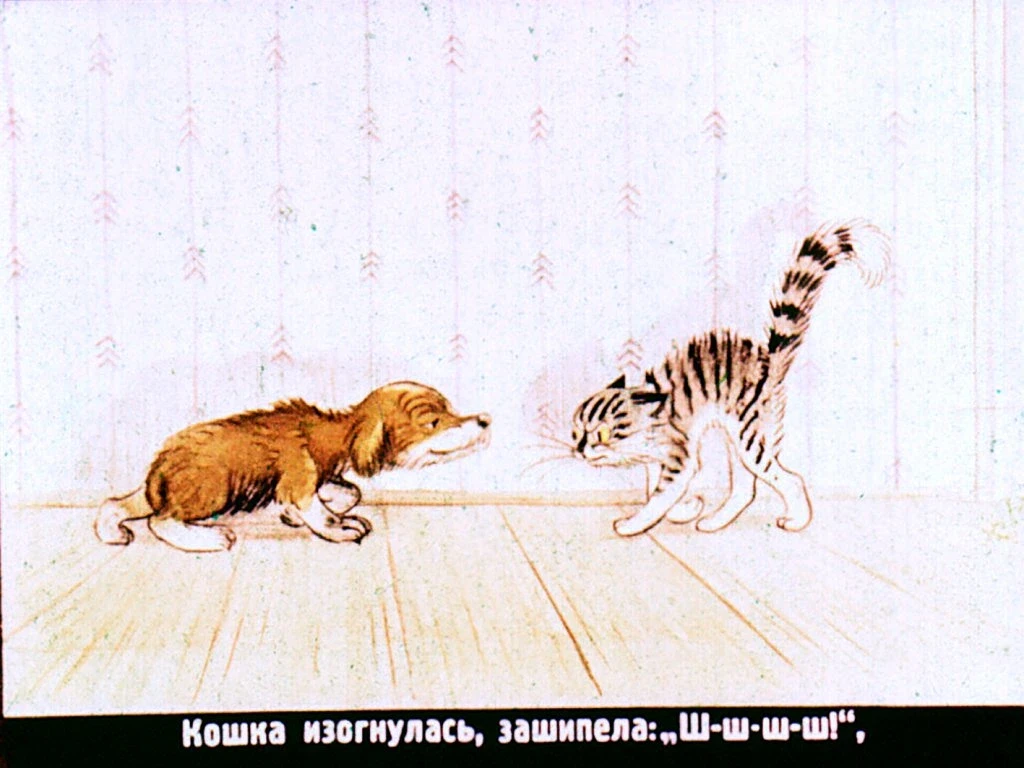 kto-skazal-myau-32