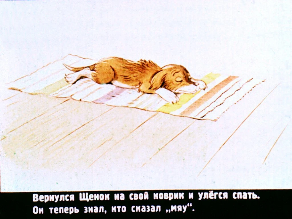 kto-skazal-myau-35