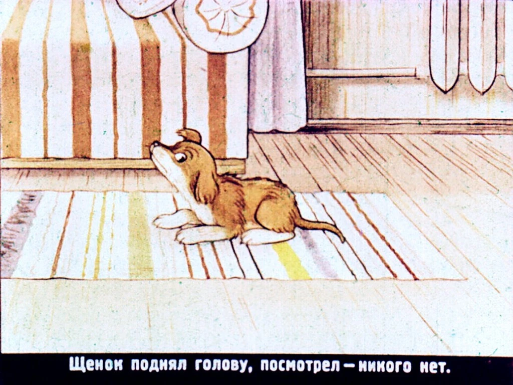kto-skazal-myau-5