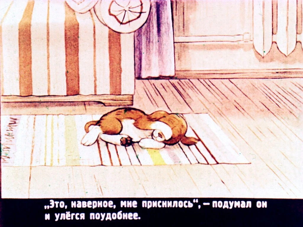 kto-skazal-myau-6