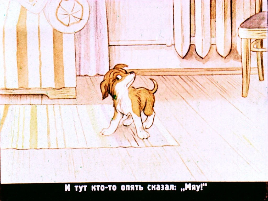 kto-skazal-myau-7