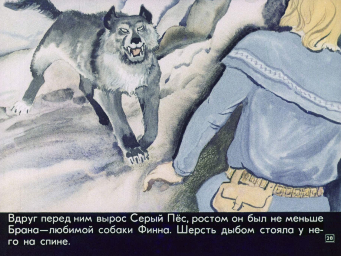 puteshestvie-finna-29