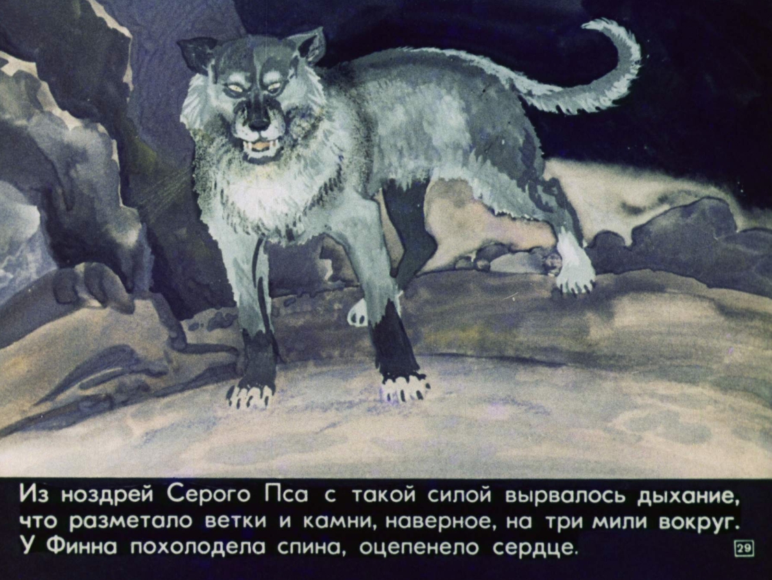 puteshestvie-finna-30