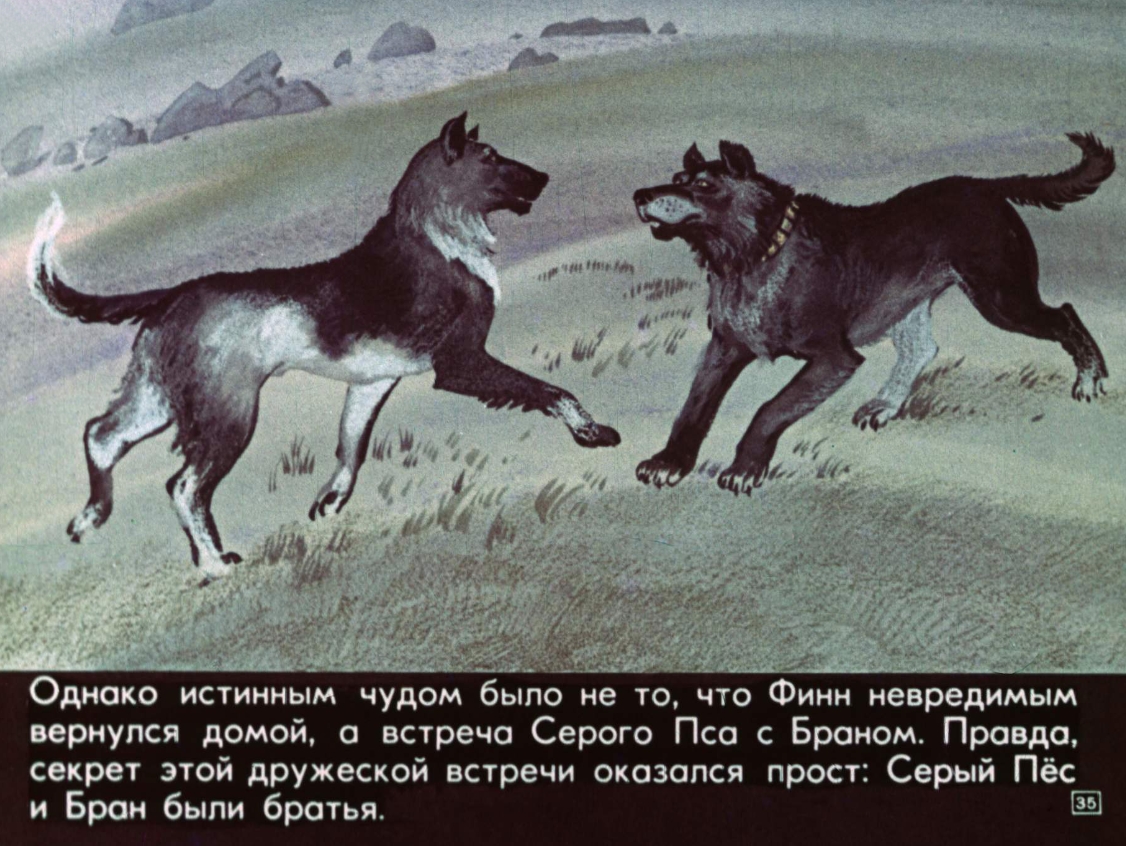 puteshestvie-finna-36