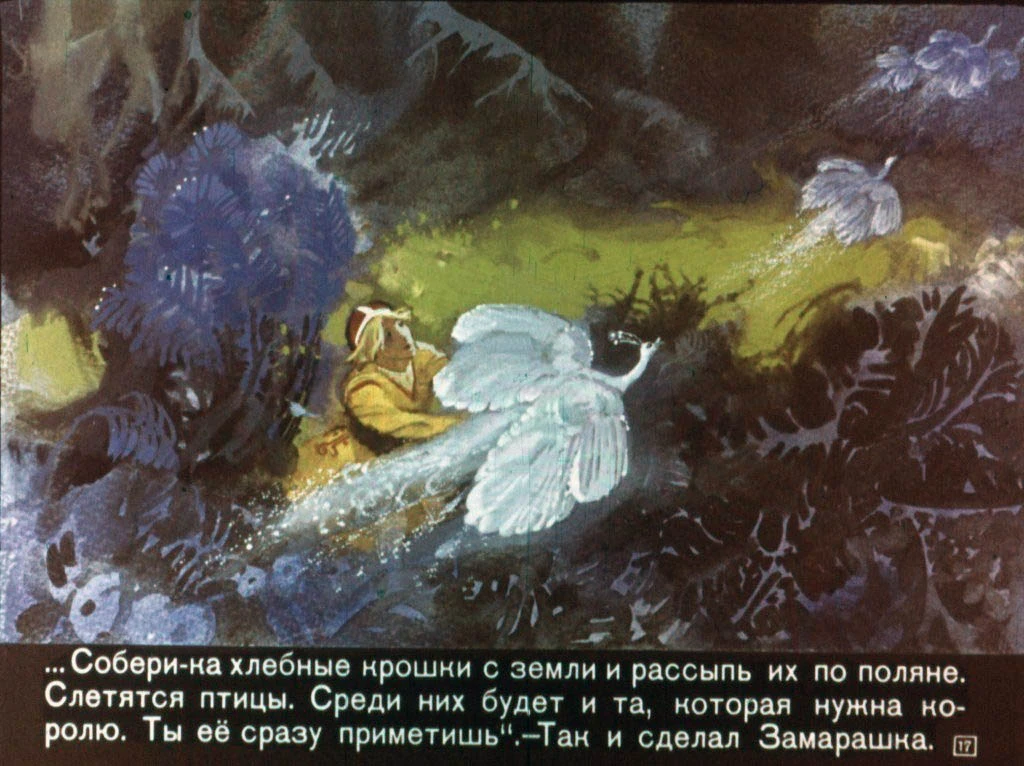 zamarashka-18