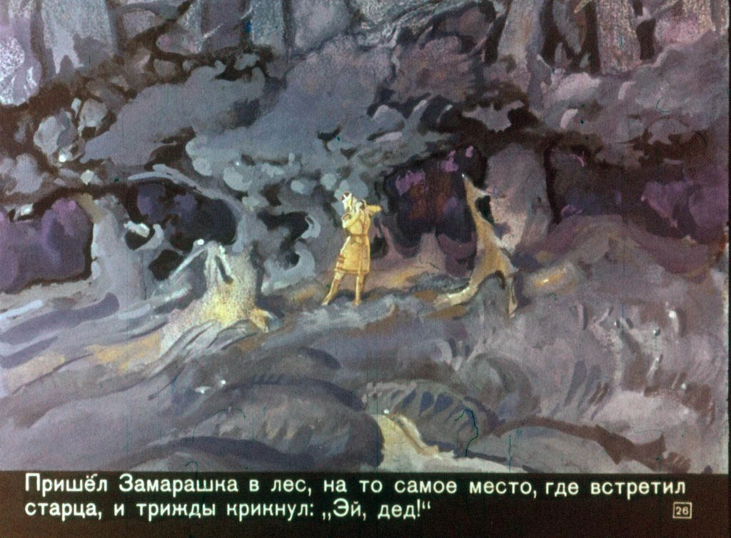 zamarashka-27