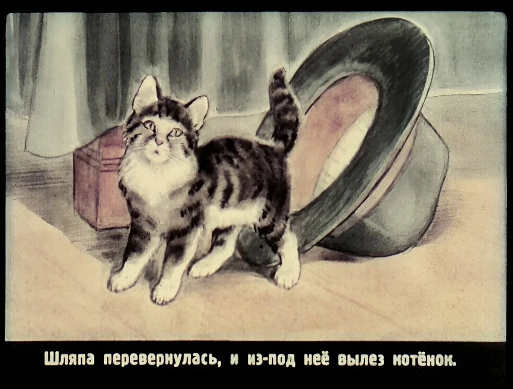 zhivaya-shlyapa-32