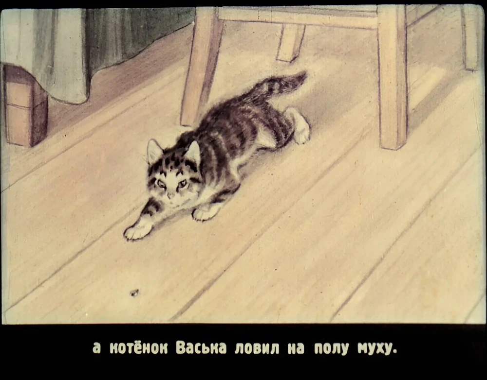 zhivaya-shlyapa-4