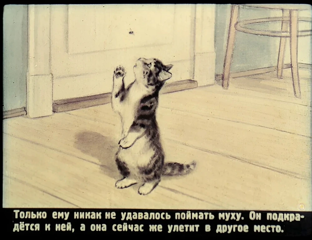 zhivaya-shlyapa-5