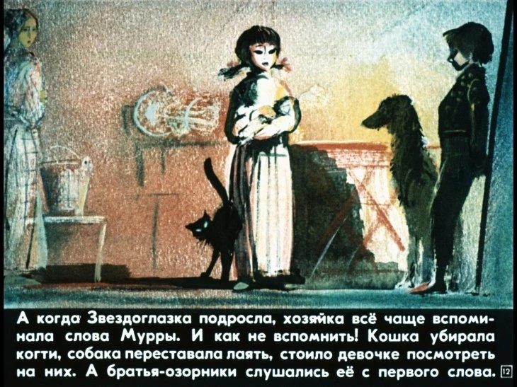 zvezdoglazka-13
