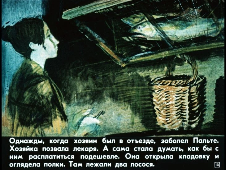 zvezdoglazka-14