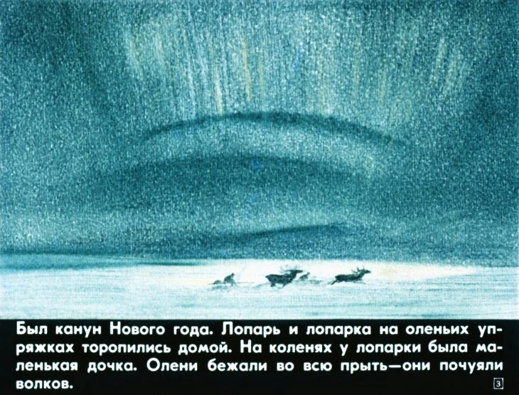 zvezdoglazka-4