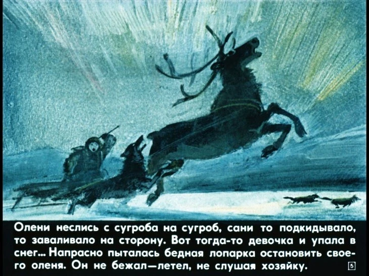 zvezdoglazka-6