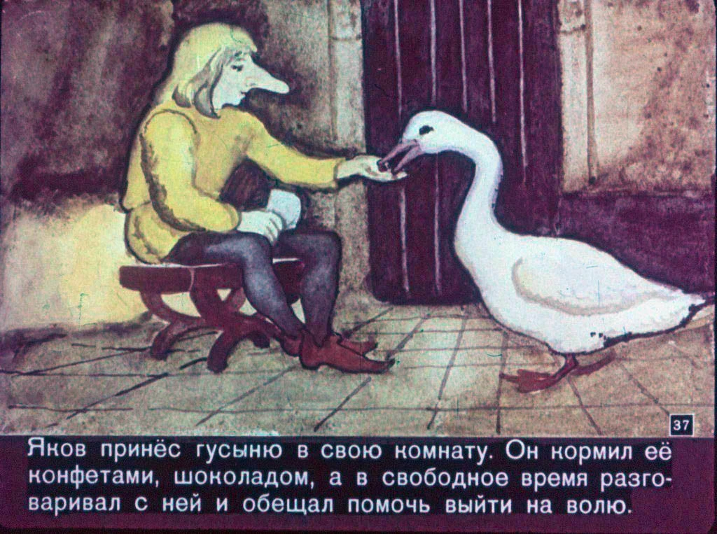 karlik-nos-38